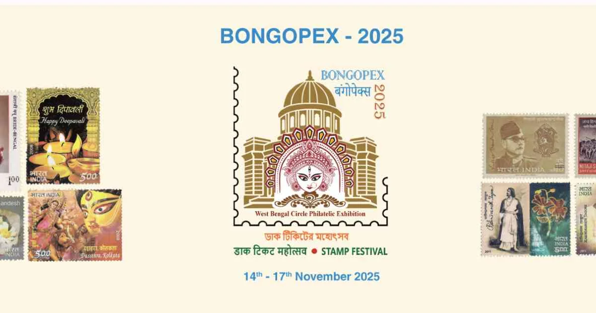 bongopex 2025